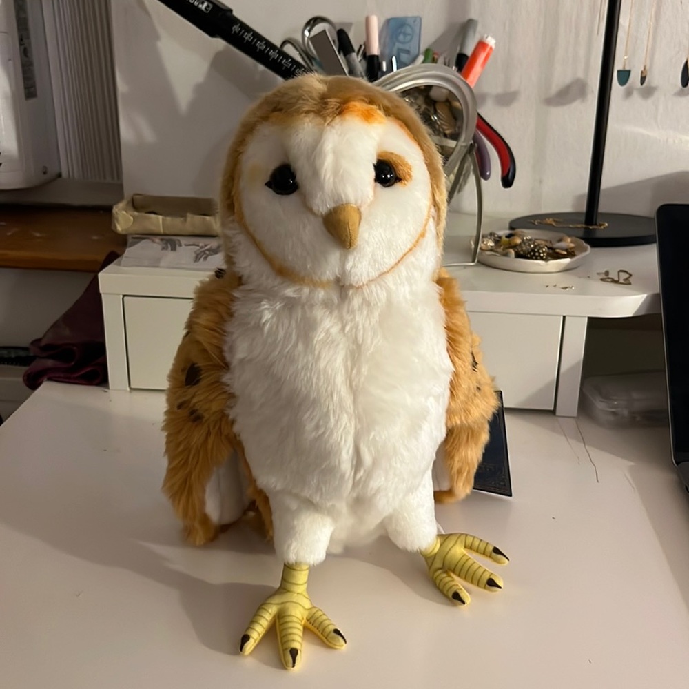 Harry Potter owl